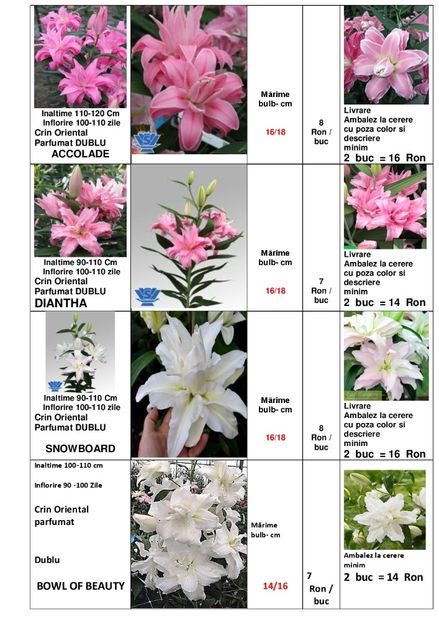  - OFERTA PRIMAVARA -VARA 2020