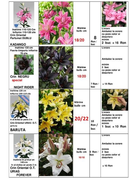  - OFERTA PRIMAVARA -VARA 2020