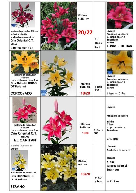  - OFERTA PRIMAVARA -VARA 2020