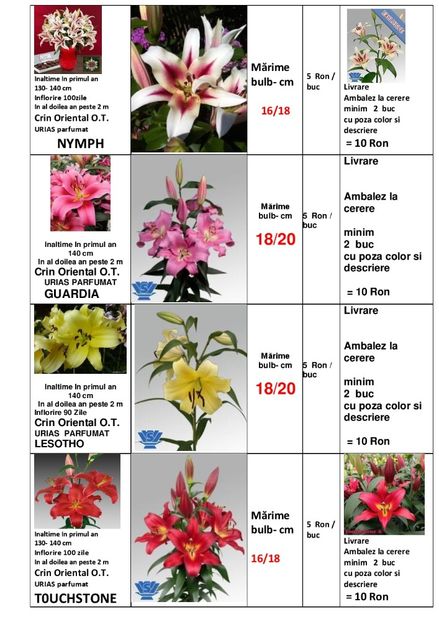  - OFERTA PRIMAVARA -VARA 2020