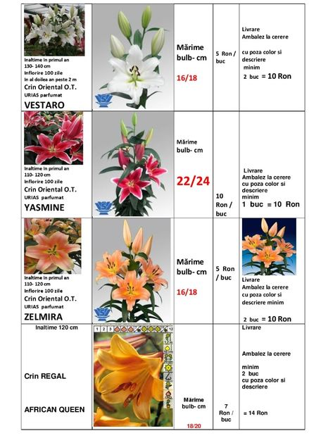  - OFERTA PRIMAVARA -VARA 2020