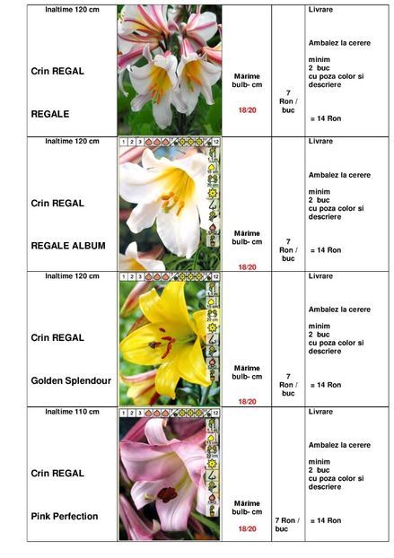  - OFERTA PRIMAVARA -VARA 2020