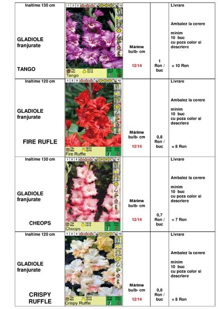  - OFERTA PRIMAVARA -VARA 2020