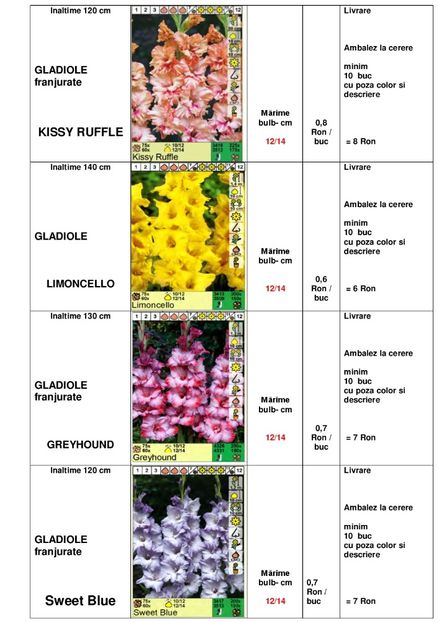  - OFERTA PRIMAVARA -VARA 2020