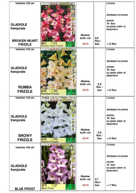  - OFERTA PRIMAVARA -VARA 2020