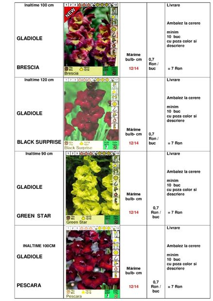  - OFERTA PRIMAVARA -VARA 2020