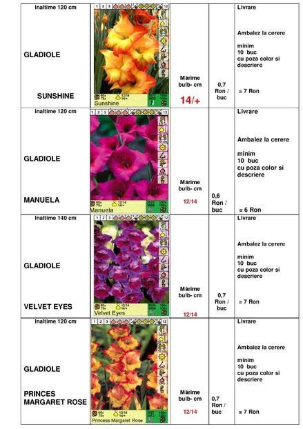  - OFERTA PRIMAVARA -VARA 2020