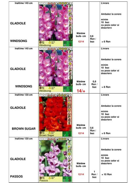  - OFERTA PRIMAVARA -VARA 2020