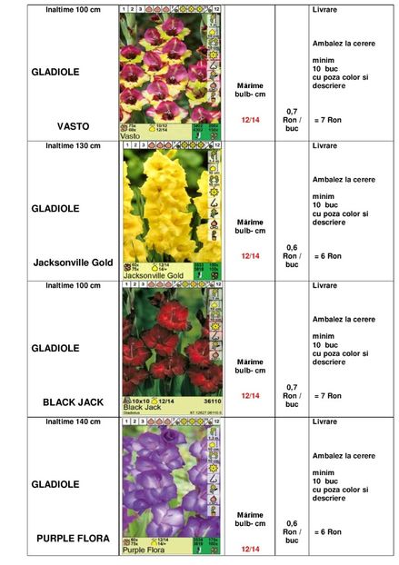  - OFERTA PRIMAVARA -VARA 2020