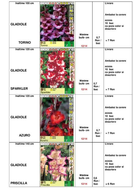  - OFERTA PRIMAVARA -VARA 2020