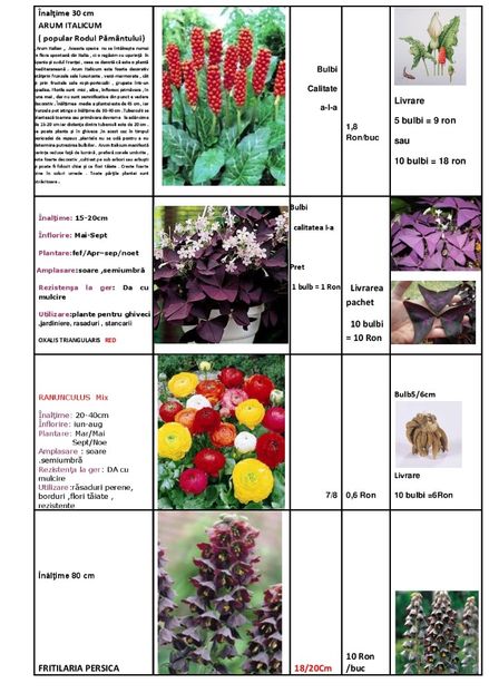  - OFERTA PRIMAVARA -VARA 2020