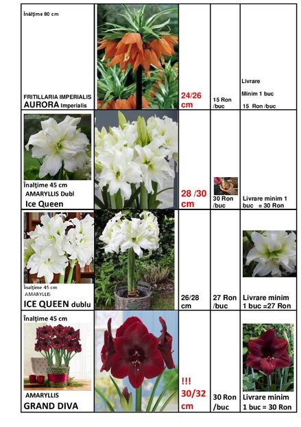  - OFERTA PRIMAVARA -VARA 2020