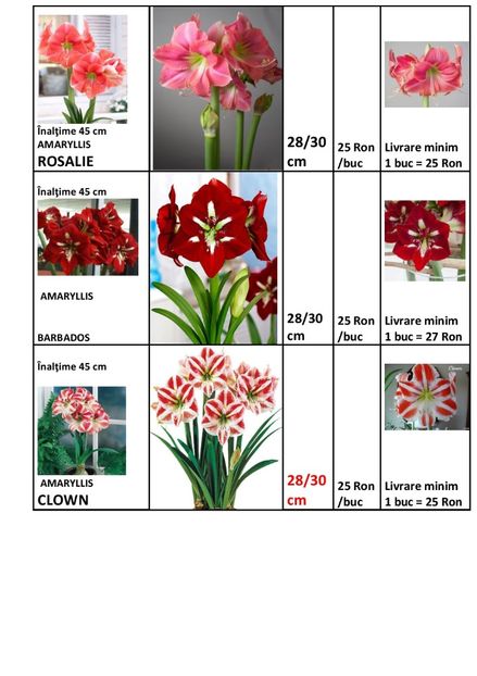  - OFERTA PRIMAVARA -VARA 2020