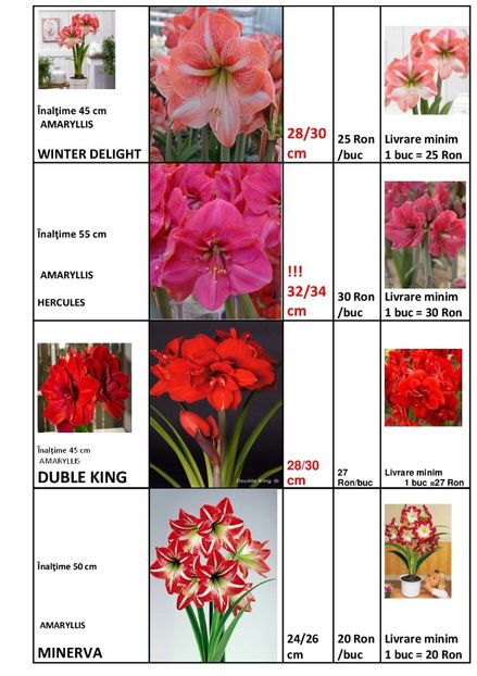  - OFERTA PRIMAVARA -VARA 2020