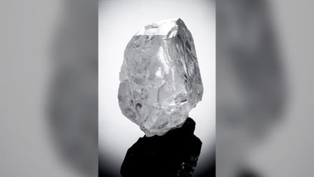 second-biggest diamond - ALEXANDRU SIRETEANU- fiul - ficiorul meu -viconte barron du Banffy - Voievod basarab - Cnez kazac