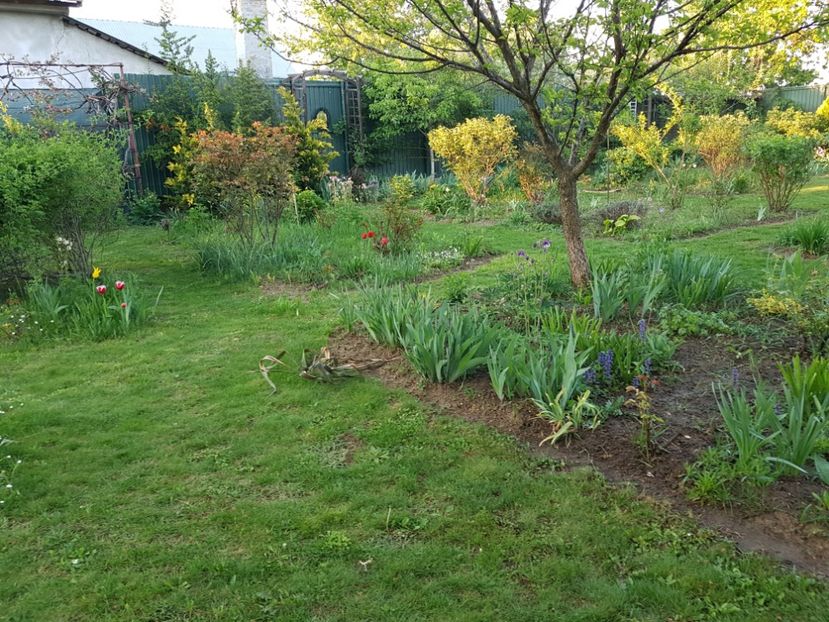  - 2020 Mart-Apr_Idilic garden