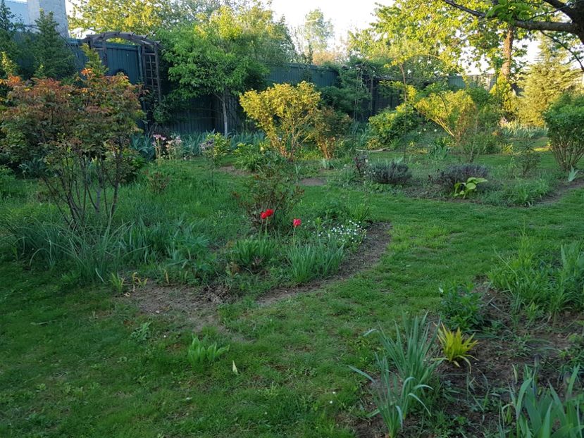 Le aveam de 20 de ani - 2020 Mart-Apr_Idilic garden