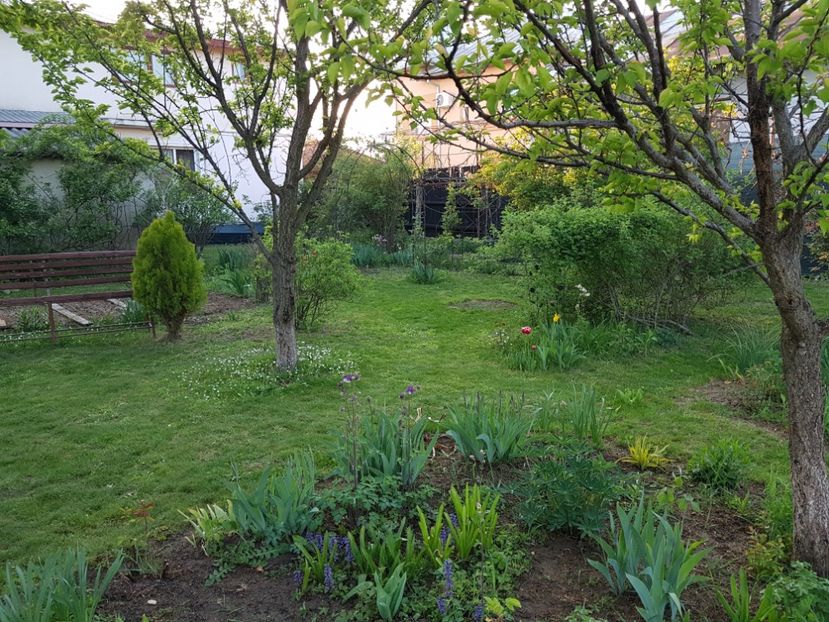  - 2020 Mart-Apr_Idilic garden