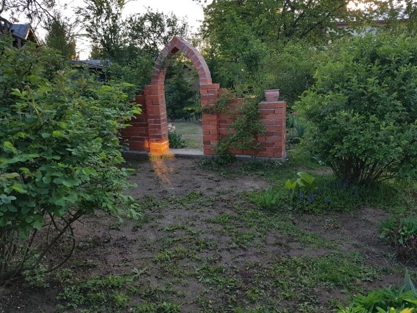 Am semanat iarba si aici - 2020 Mart-Apr_Idilic garden