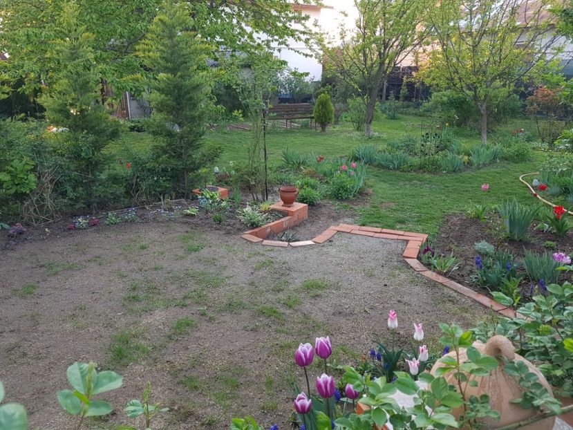 Incepe iarba sa rasara si aici ! - 2020 Mart-Apr_Idilic garden