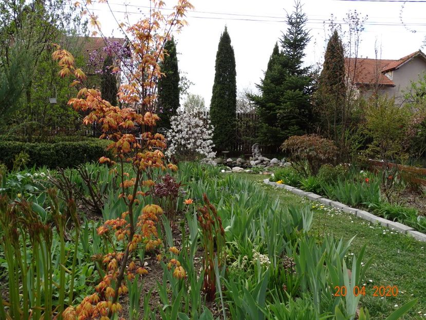  - Gradina 2020