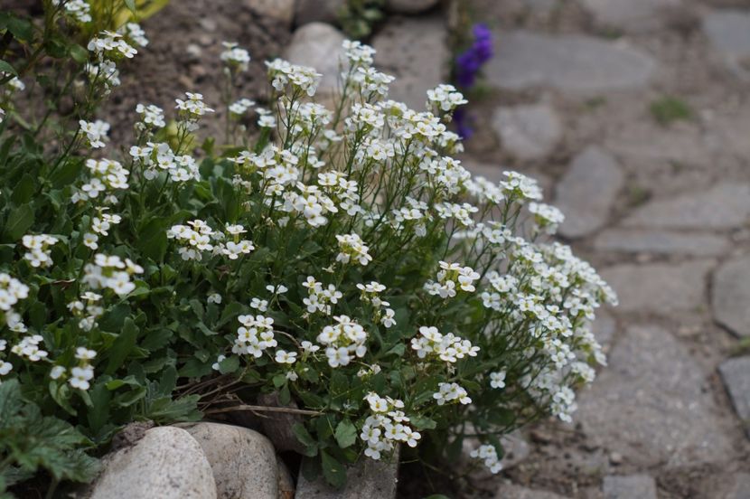  - APRILIE 2019- APRILIE 2020