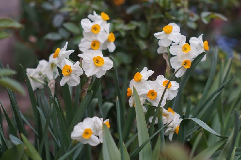  - APRILIE 2019- APRILIE 2020