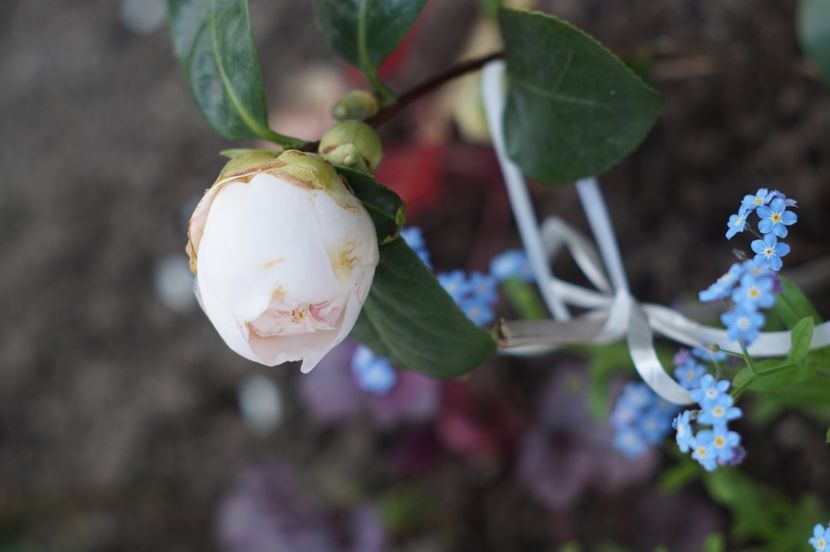  - APRILIE 2019- APRILIE 2020