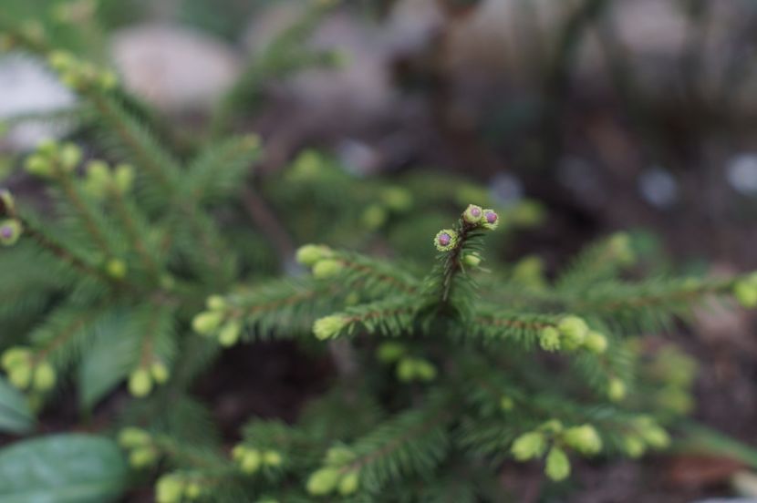  - APRILIE 2019- APRILIE 2020