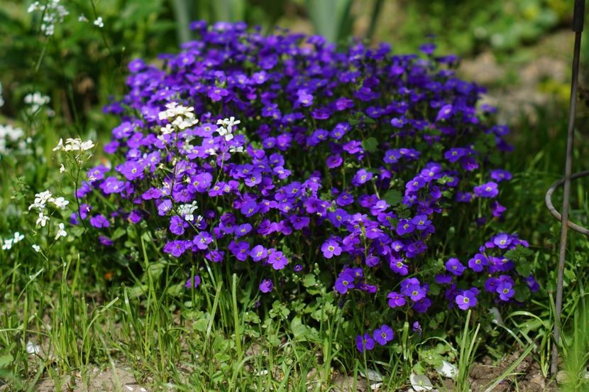  - APRILIE 2019- APRILIE 2020