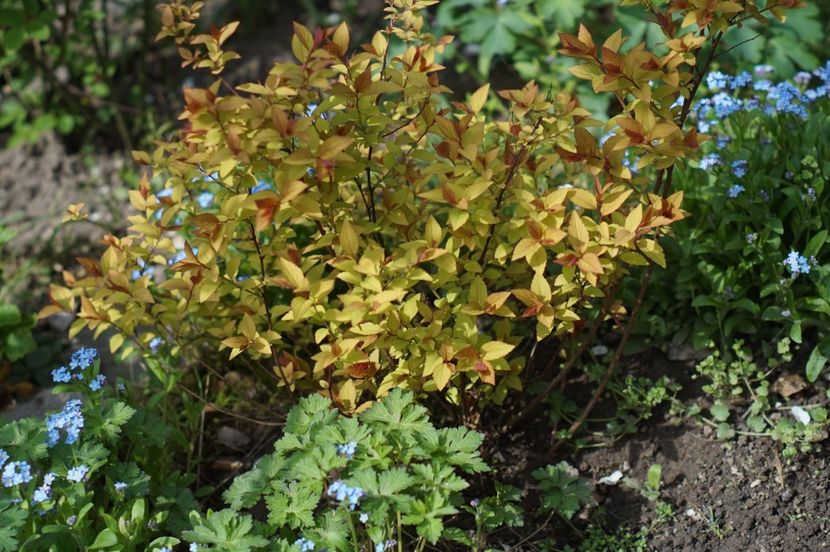  - APRILIE 2019- APRILIE 2020