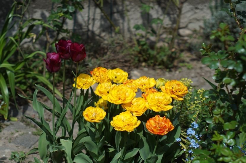  - APRILIE 2019- APRILIE 2020