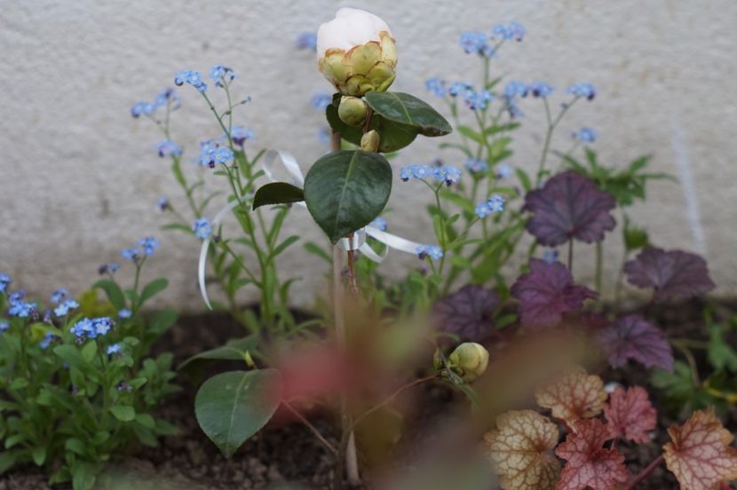  - APRILIE 2019- APRILIE 2020