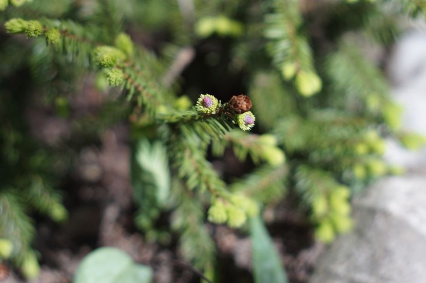  - APRILIE 2019- APRILIE 2020