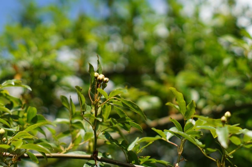  - APRILIE 2019- APRILIE 2020