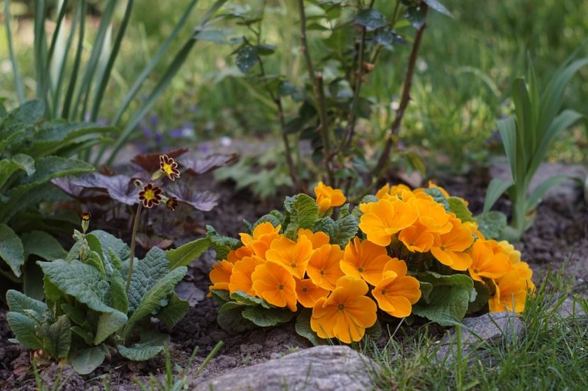  - APRILIE 2019- APRILIE 2020