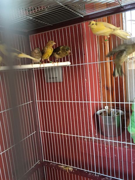 15F79989-0FE8-427B-BC22-95BF062842DF - TIMBRADOS 2020