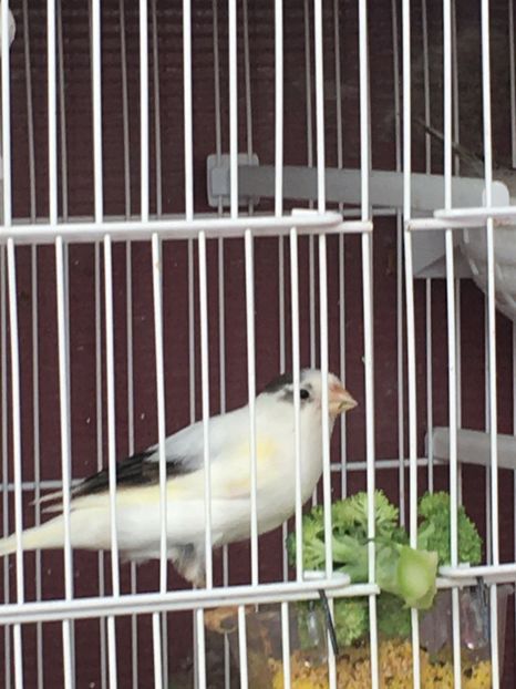 1F086239-7614-4FBC-86F9-9B421312C52D - TIMBRADOS 2020