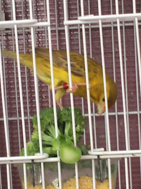 861EBD43-ADFB-440F-BCCA-1B655F8BD9DA - TIMBRADOS 2020