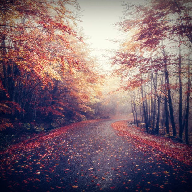  - After fucking nine years of sorrow