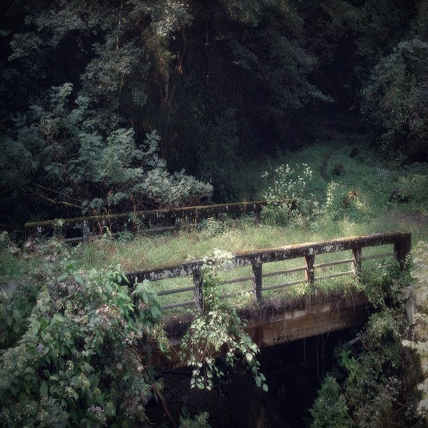  - After fucking nine years of sorrow