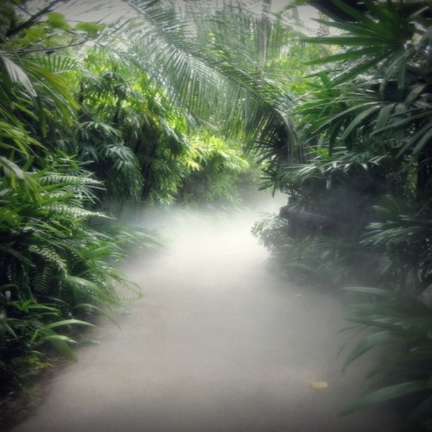  - After fucking nine years of sorrow