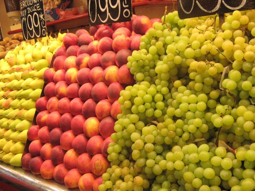 Picture 13071 - Barcelona Alex-John