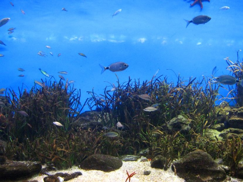 Picture 13079 - Barcelona Alex-John