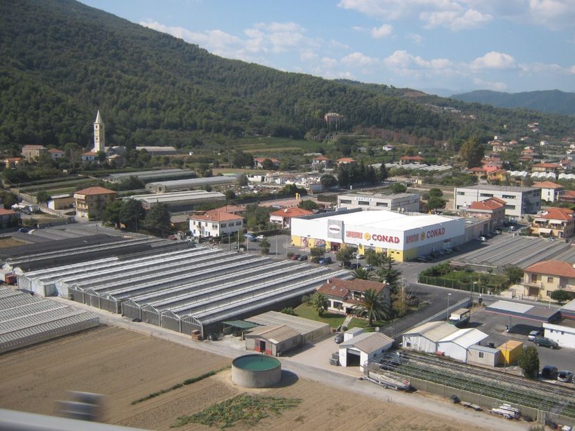 Picture 13151 - Barcelona Alex-John