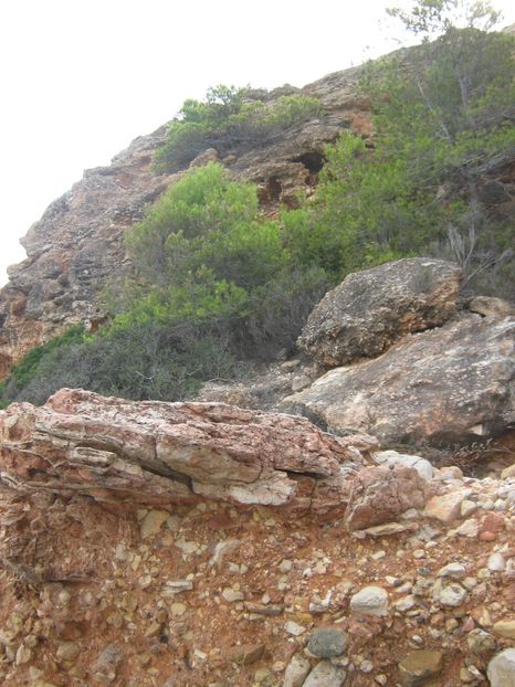 Picture 13267 - Barcelona Alex-John