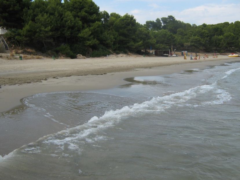 Picture 13274 - Barcelona Alex-John