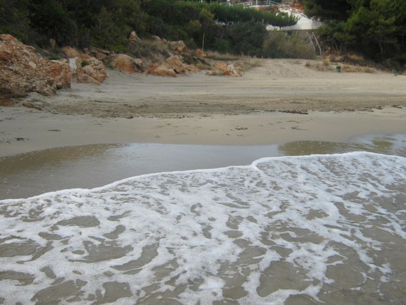 Picture 13275 - Barcelona Alex-John