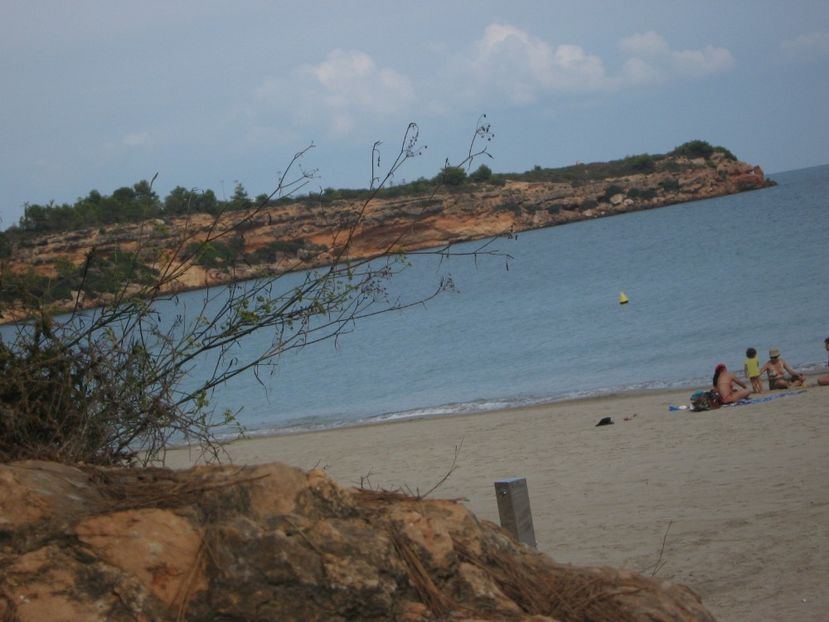 Picture 13281 - Barcelona Alex-John