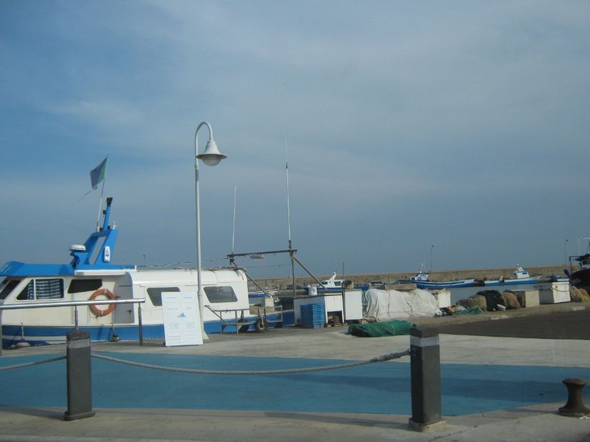 Picture 13289 - Barcelona Alex-John